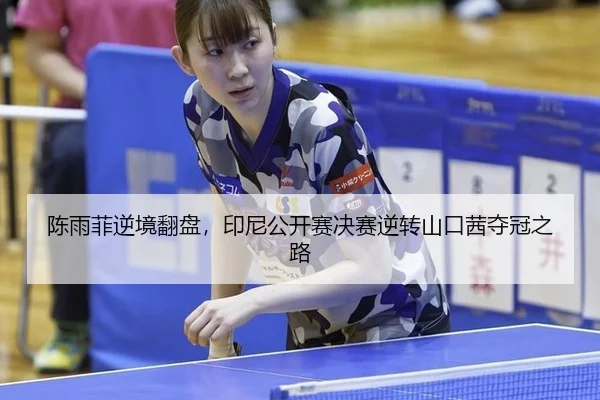 chen-yu-fei-ni-jing-fan-pan-yin-ni-gong-kai-sai-jue-sai-ni-zhuan-shan-kou-qian-duo-guan-zhi-lu-2-138.jpg