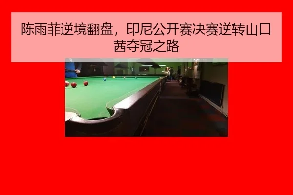陈雨菲逆境翻盘，印尼公开赛决赛逆转山口茜夺冠之路